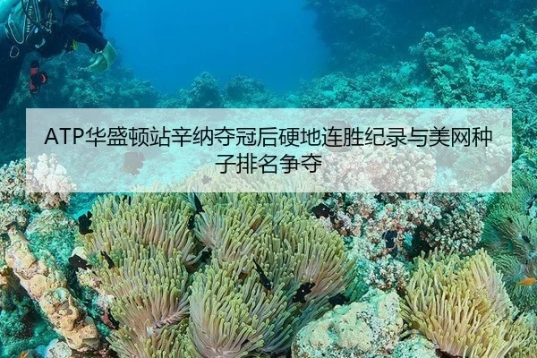 hua-sheng-dun-zhan-xin-na-duo-guan-hou-ying-di-lian-sheng-ji-lu-yu-mei-wang-zhong-zi-pai-ming-zheng-duo-2-280.jpg